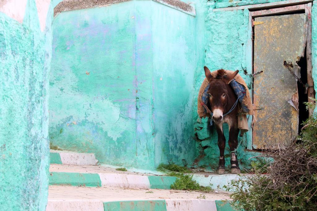 Dar Zerhoune Moulay Idriss Extérieur photo